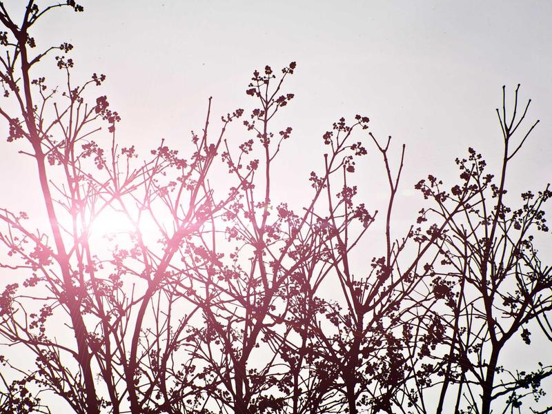 sudoku solver screenshot 5